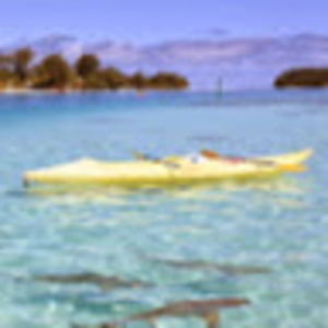 Meet your Posher, Lily